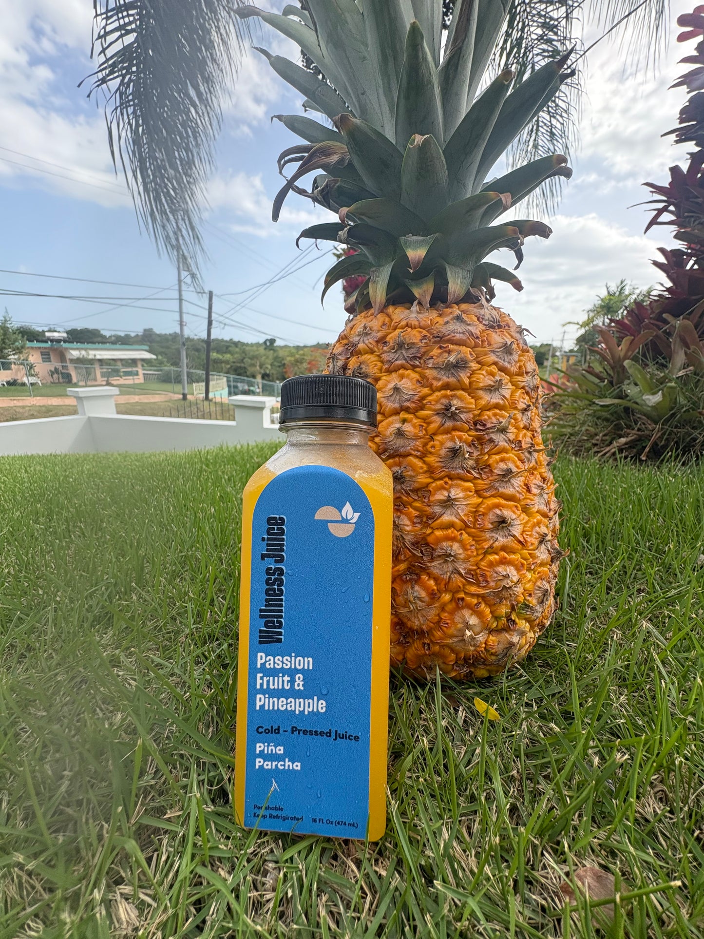 Pineapple and Passion Fruit