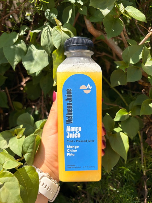 Wellness Juice – Mango Juice